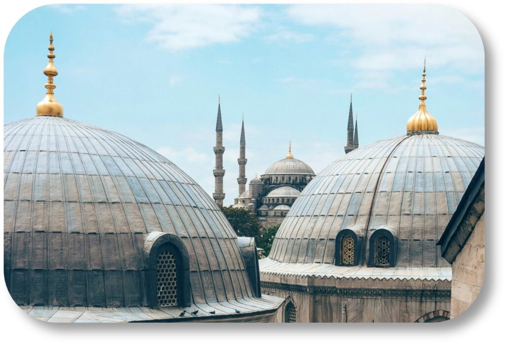 turkey image turkey image